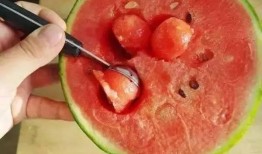 网红瓜勺子挖着吃,一勺挖尽美味，尽享生活乐趣