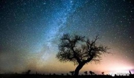 黑龙江夜空爆料最新消息,神秘天象引全民瞩目