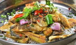 鱼仔最新爆料,揭秘娱乐圈最新动态与幕后故事